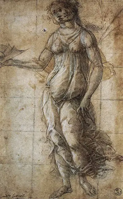 Pallas Sandro Botticelli